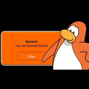 Meet your Posher, Avery